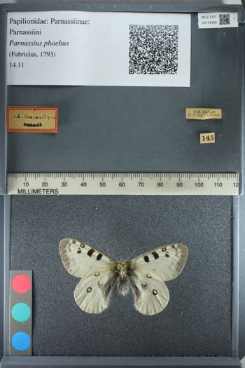 Media type: image;   Entomology 174368